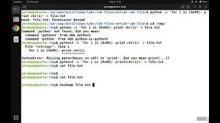 Mutillidae: Lab 45 Walkthrough