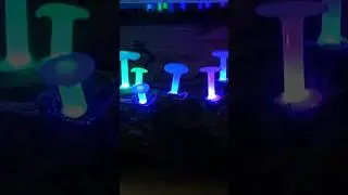 RGB LED Mushrooms