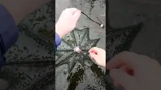 Китайские раколовки Зонтики! Лучшая снасть для ловли раков зимой!