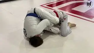 8F Базихов Халим vs Домбровский Григорий - Blue Belts Trial 80+