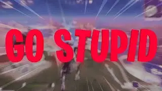 Go Stupid 🤪 ( Fortnite Montage )