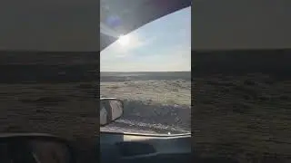 ADIYAMAN'DA KURT SÜRÜSÜ
