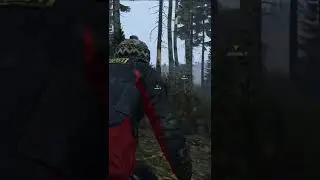 слежка и парная работа - dayz