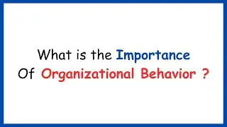 What is the Importance Of Organizational Behavior? | Organizational Behavior Concepts