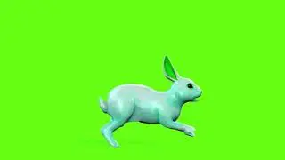 Green Screen Rabbit 2 Animation Rabbit 2 Green Screen Video