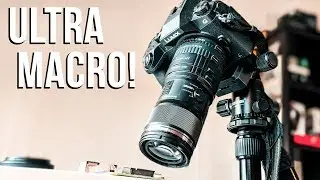 ULTRA MACRO - Macro Photography with MACRO LENS + 4 MACRO TUBES!