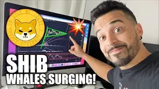 SHIBA INU SHIB News Today Update! Next Best Meme, Whales Surging, Price Analysis