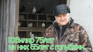 Голуби г.Богучара.  Юбиляр 75лет из них 65лет с голубями.