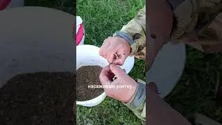 #рыбалка