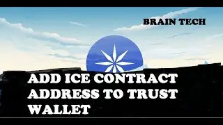 How To Add Ice Network Contract Address To Trust Wallet App