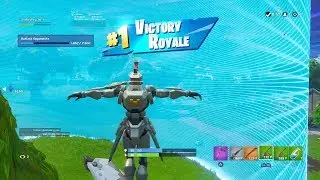 FORTNITE First Win with 