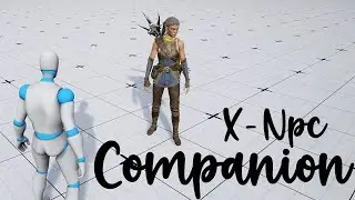 X - Game Animation Sample | Npc Companion