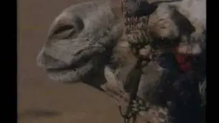 The Giant Nile - Egypt (part 1/5 of episode 3)
