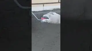 Как разнообразить камни