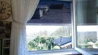 Rolladen Foto-Rollo im Rolladen ist ein Fotorollo am Rolladen-Panzer - Fotodruck im Fenster