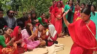 नेपाली झ्याउरे नाच रोल्पा-सल्यान | Jhyaure Dance viral | यो गाडीमा मा पनि जानेहो | Yo Gadima ma Pani