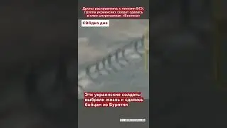 Дроны расправились с танками ВСУ. Группа украинских солдат сдалась в плен штурмовикам «Востока»