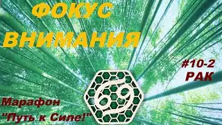 РАК. ФОКУС ВНИМАНИЯ ИЛИ КАК ТОЧКА ЗРЕНИЯ МЕНЯЕТ ВОСПРИЯТИЕ И ВЛИЯЕТ НА РЕАЛЬНОСТЬ.