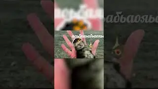 Он точно щщаслив 