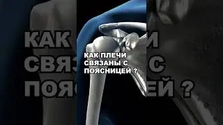 ПОЧЕМУ БОЛЯТ И ТРАВМИРУЮТСЯ ПЛЕЧЕВЫЕ СУСТАВЫ ?
