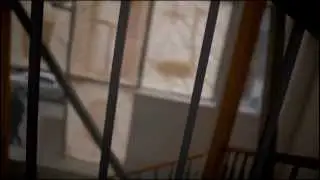 Инсталляции в витринах Харькова. проект 