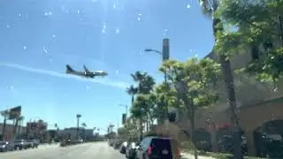 IMG 1622