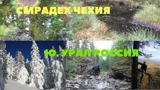 Как развить туризм в России на примере Чехии