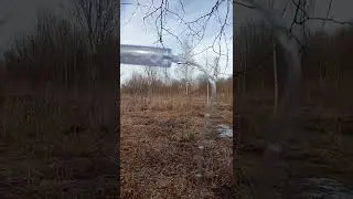 собираем берёзовый сок
