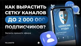 Как вырастить сетку каналов до 2 млн. подписчиков?