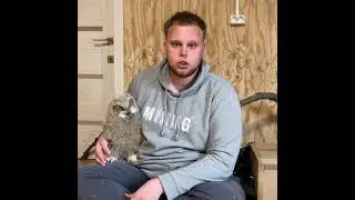 Неравнодушные приморцы спасли совёнка от бродячих собак