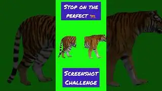 Stop Challenge #screenshotchallenge #challengetime #fun #challange