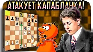 Урок тактики от чемпиона мира. Хосе Рауль Капабланка. Шахматы