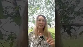 Запрет на радость