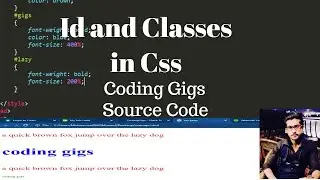 3-Css tutorial for beginners 2020 | Ids in CSS | Classes in Css 2020 | Coding Gigs