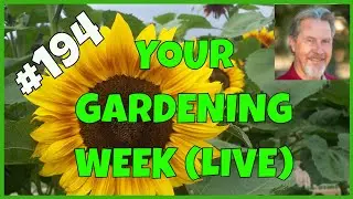 Navigating Your Gardening Path (QA)
