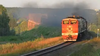 Пассажирские и грузовые поезда в районе города Вельск