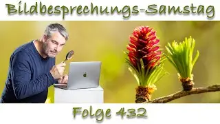 Bildbesprechung 432