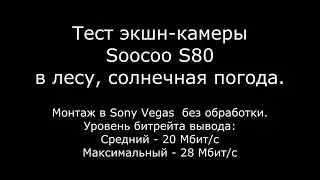 Soocoo S80 тест в лесу