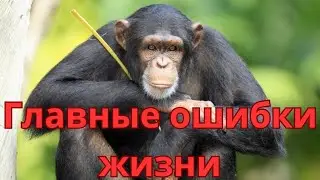 Как не совершать ошибок в жизни