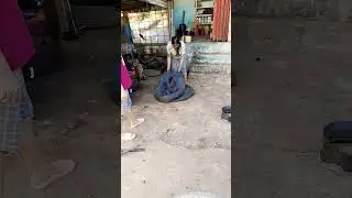 Wanita Tangguh dari medan