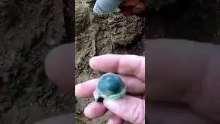Horonsan Savalı Define Kasası Açtık !!