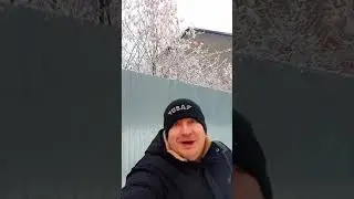 Котейку Покармил Зима Близко #помощь_животным #котик