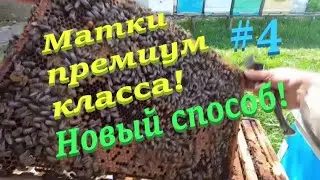 ✅МАТКИ ПРЕМИУМ КЛАССА новым способом! 