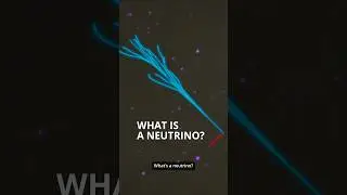 What is a neutrino? #shorts