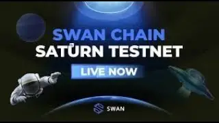 Swan Chain.  Тестнет с простой социальной активностью