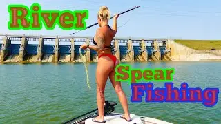 SPEAR FISHING Under a HUGE SPILLWAY (Nonstop Fish!)