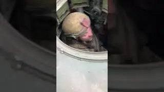 Кипиш работает прицельно