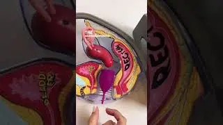 Your Vulva Anatomy - 3 Holes 