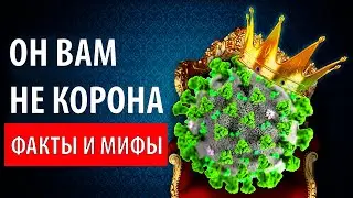 Ты уверен что знаешь всю ПРАВДУ про КОРОНАВИРУС ? I МИФЫ И ФАКТЫ ☣