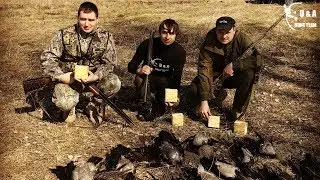 Как охотится на серую ворону в Украине весной? Разрешение, выбор снаряжения и практика. Crow hunt.